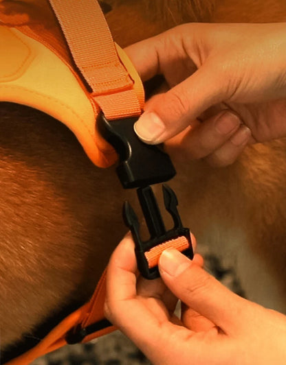 Dog Harness with Retractable Leash