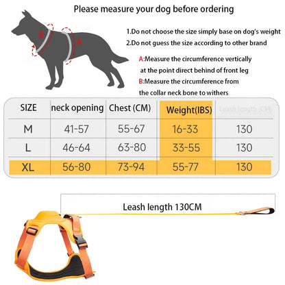 Dog Harness with Retractable Leash