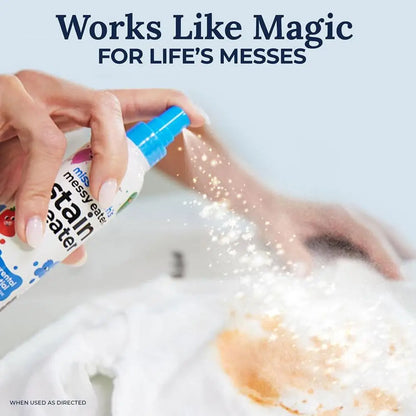 Fabric Stain Remover Spray