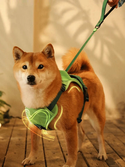 Dog Harness with Retractable Leash