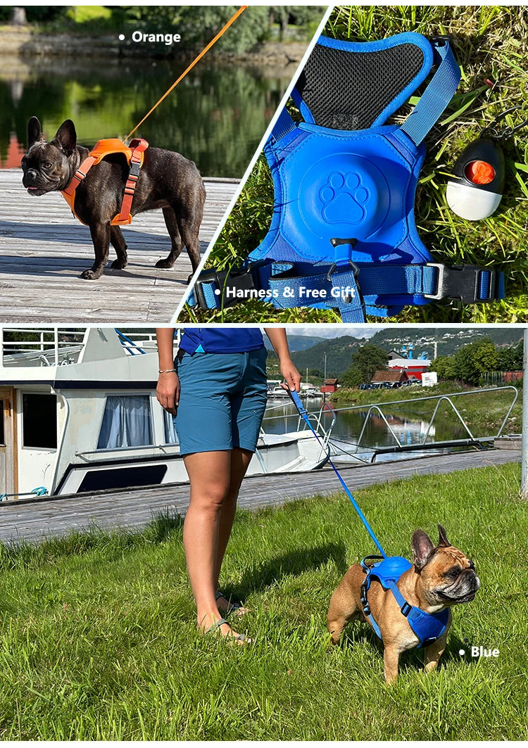Dog Harness with Retractable Leash