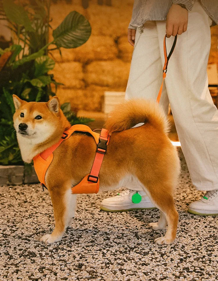 Dog Harness with Retractable Leash