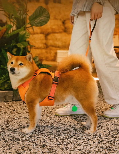 Dog Harness with Retractable Leash