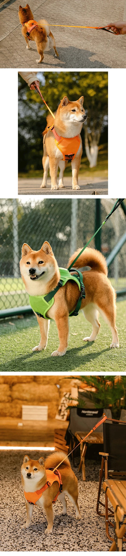 Dog Harness with Retractable Leash