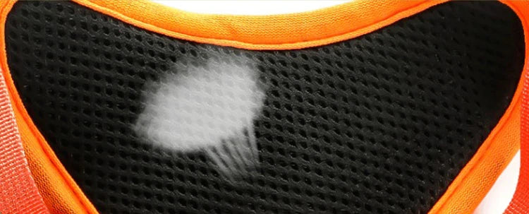 Dog Harness with Retractable Leash