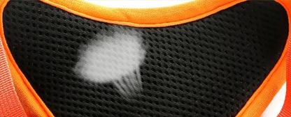 Dog Harness with Retractable Leash