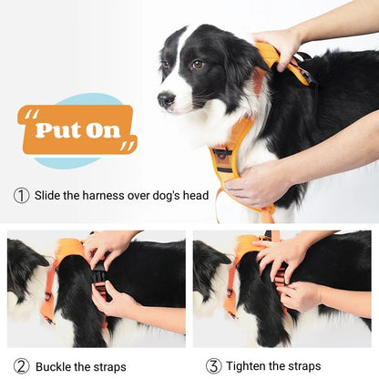 Dog Harness with Retractable Leash