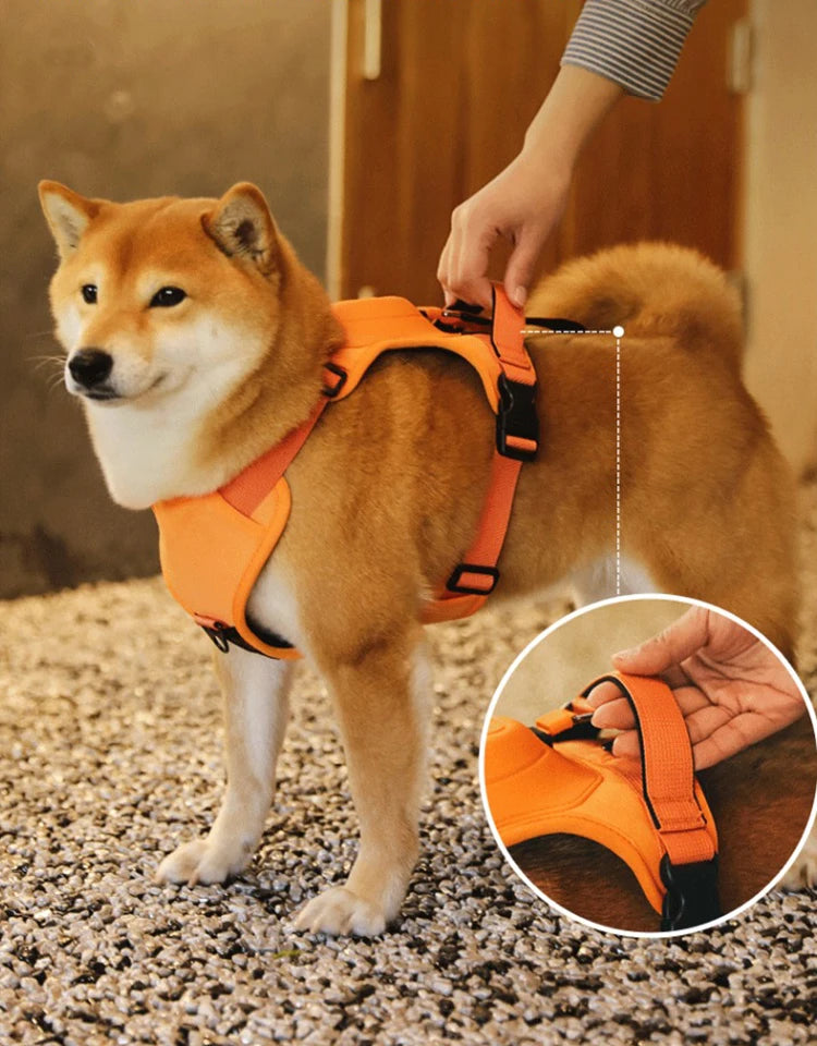 Dog Harness with Retractable Leash