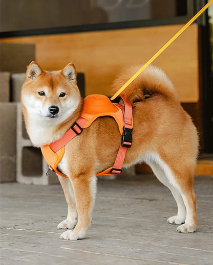 Dog Harness with Retractable Leash