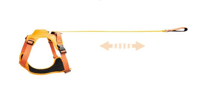 Dog Harness with Retractable Leash