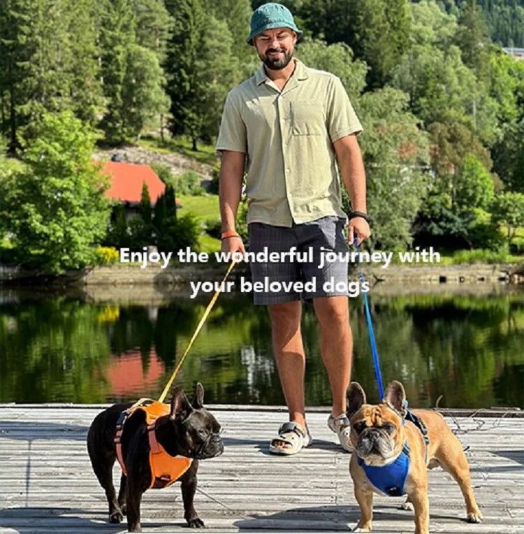 Dog Harness with Retractable Leash