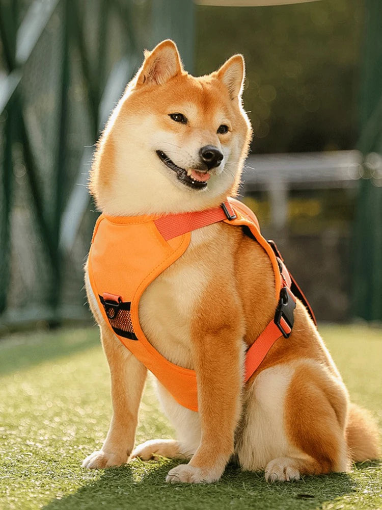 Dog Harness with Retractable Leash