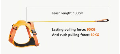 Dog Harness with Retractable Leash