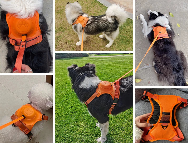 Dog Harness with Retractable Leash