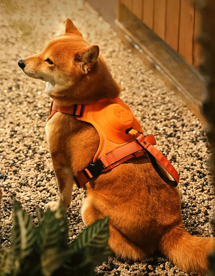 Dog Harness with Retractable Leash